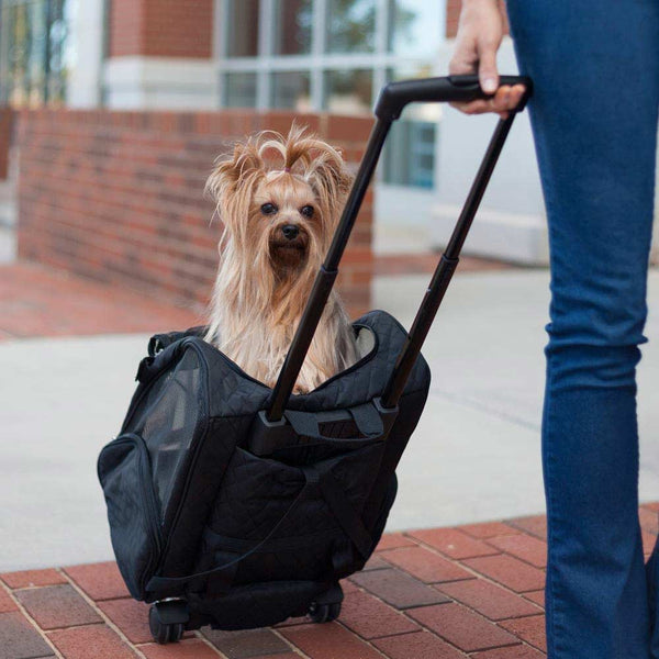 Rolling deals dog backpack