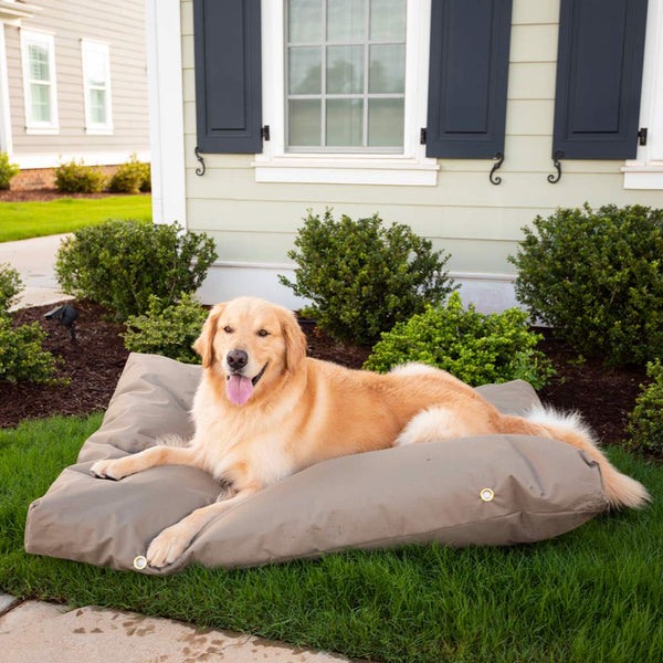 Outdoor dog sale cot